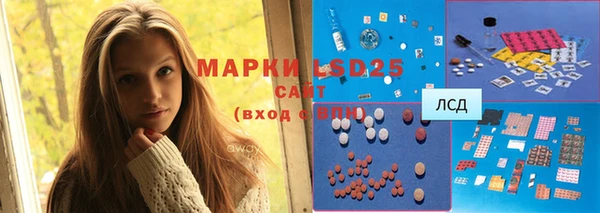 ECSTASY Магас