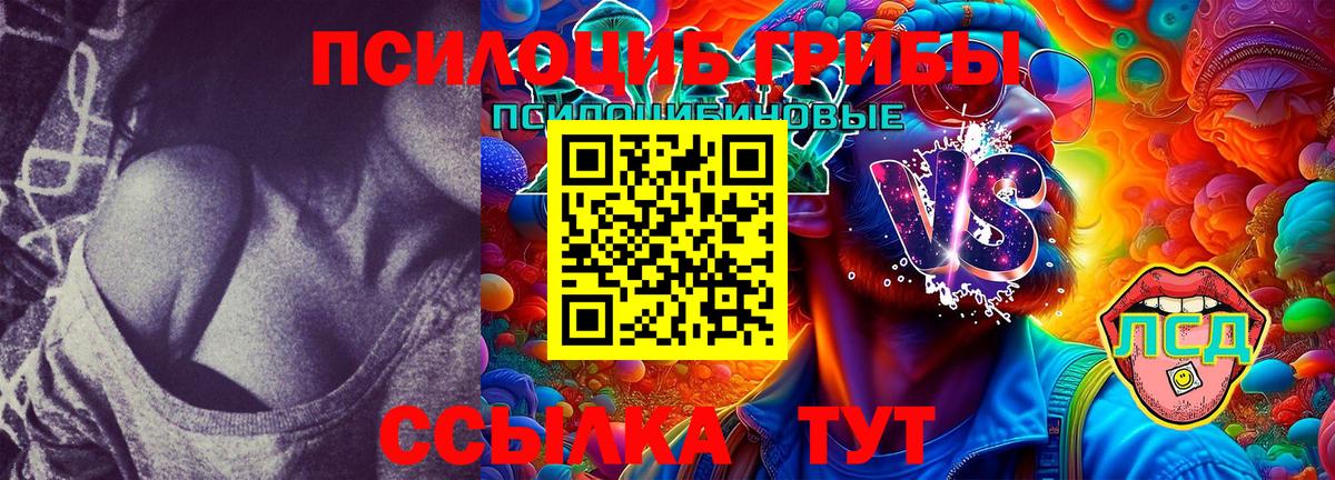 Псилоцибиновые грибы MAGIC MUSHROOMS Чернушка