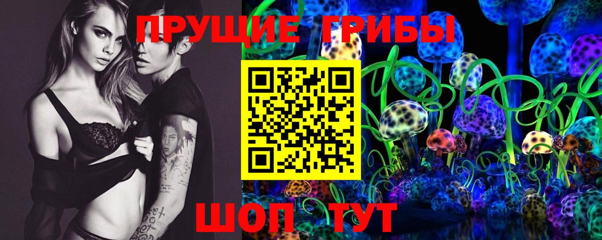 Псилоцибиновые грибы прущие грибы Чернушка